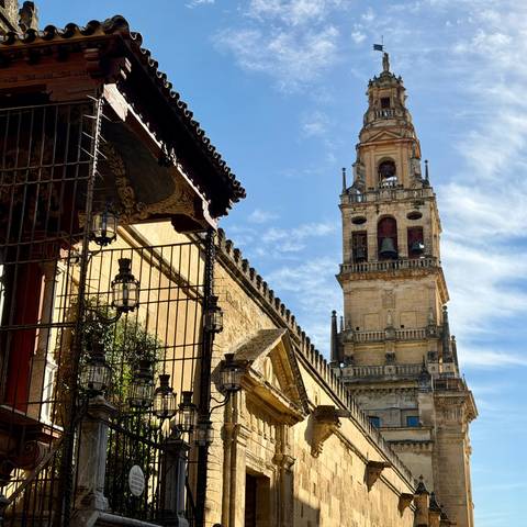 View up to the bell tower of the Mezquita-Cathedral with ornate wrought-iron gate in foreground.