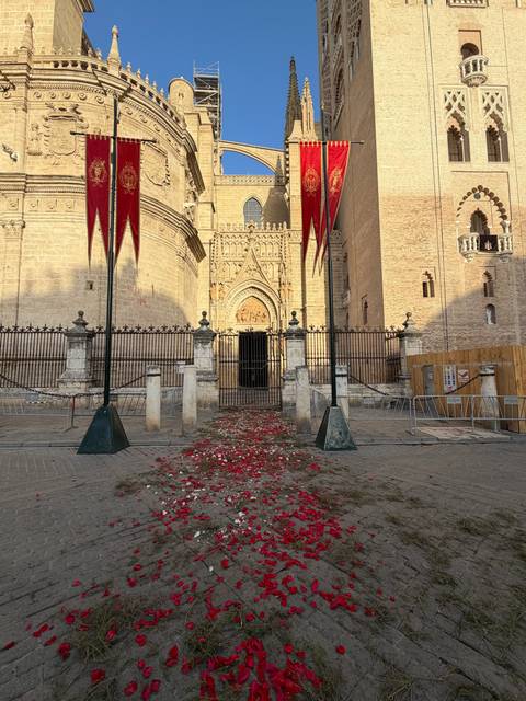 Gothic cathedral entrance framed by red banners with rose petals scattered on the pavement.