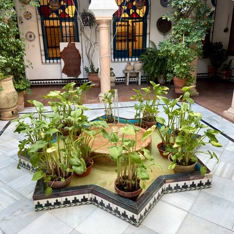 Indoor Andalusian courtyard with central fountain surrounded by potted greenery.