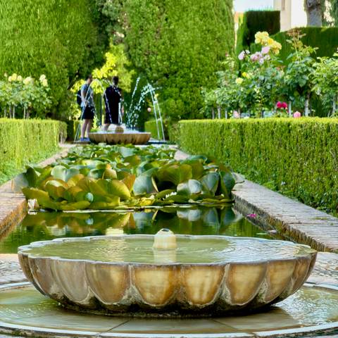 Long reflective pool with water-lily leaves and fountains amid manicured hedges.
