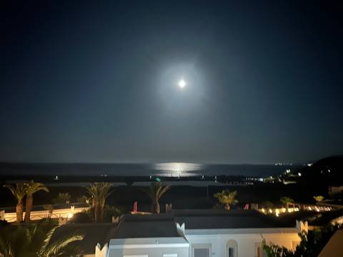 Full moon illuminates a calm night sea with shimmering reflection and palm-lined coast below.