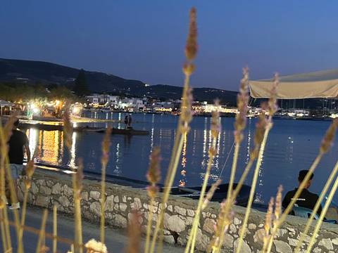 Evening harbor scene with reflections of town lights on the water, viewed through blurred grasses in the foreground.