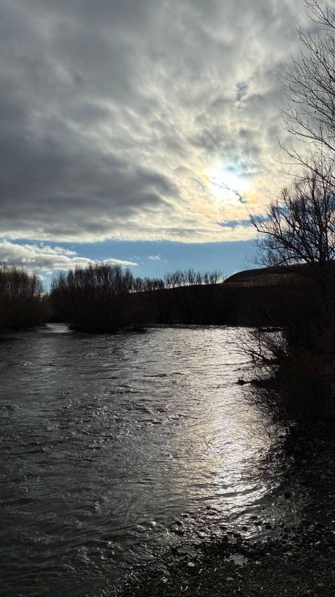 Silhouetted leafless trees along a fast-flowing river under partly cloudy sky.
