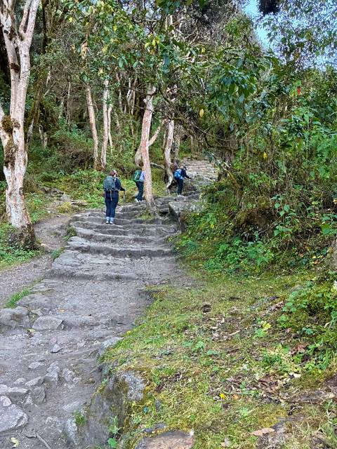 Hikers ascending uneven stone stairs through mossy forest on the Inca Trail.