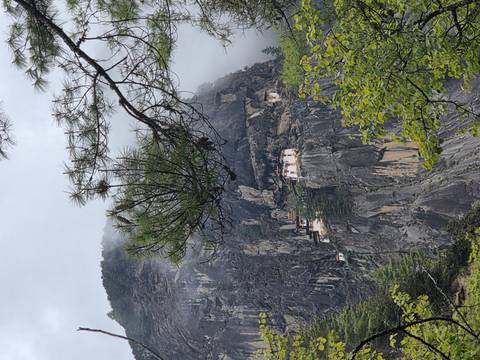 Misty cliff face with the famous cliff-side monastery barely visible through pine branches in the foreground.