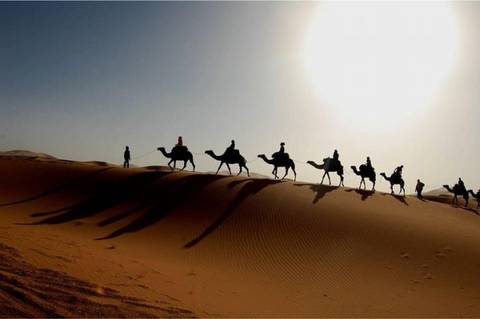 Silhouetted camel caravan walks along a sand dune ridge against a hazy sun.