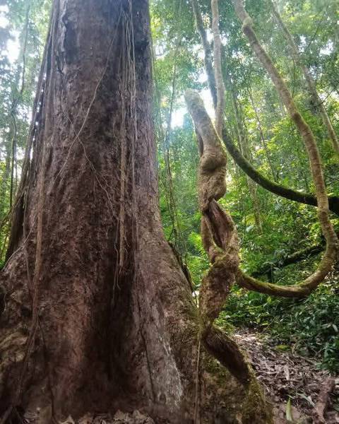 Photo d'avis client sur Circuit au Laos en 7 jours