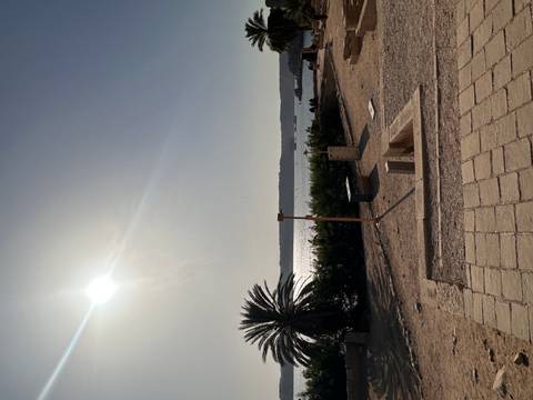 Bright midday sun over a riverside scene with palm tree, shrubs and distant boats