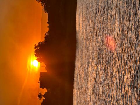 Fiery orange sunset dipping behind trees along the Nile with shimmering water in foreground