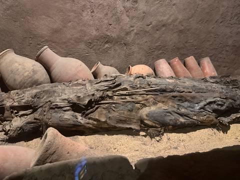 Ancient wooden remains and pottery jars showcased in an archaeological display