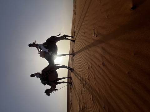 Silhouettes of two riders on camels crossing golden dunes with the sun low on the horizon.