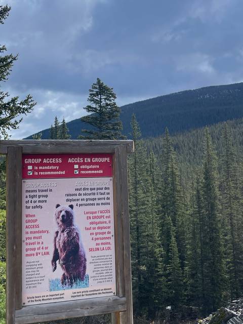 A bear safety information sign stands at the edge of a dense evergreen forest with rugged mountains in the background under a cloudy sky.
