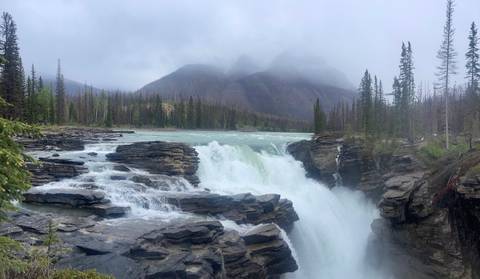 Powerful waterfall plunges through rugged rock formations with misty mountains and pine trees in the distance on a gray day.
