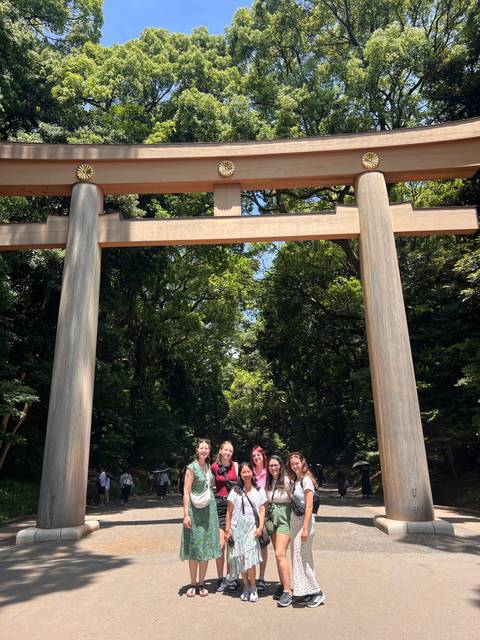 Massive wooden torii gate towers over a shaded forest path in a tranquil shrine setting.