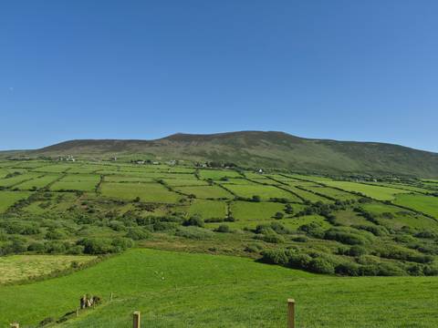 Patchwork of vibrant green Irish fields backed by a gentle mountain ridge under blue sky.