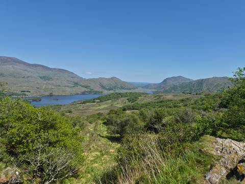 Scenic vista of lakes and forested mountains within rugged Irish countryside.