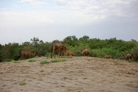Photo d'avis client sur Visite de groupe au Turkménistan (partie du voyage au 5stan)