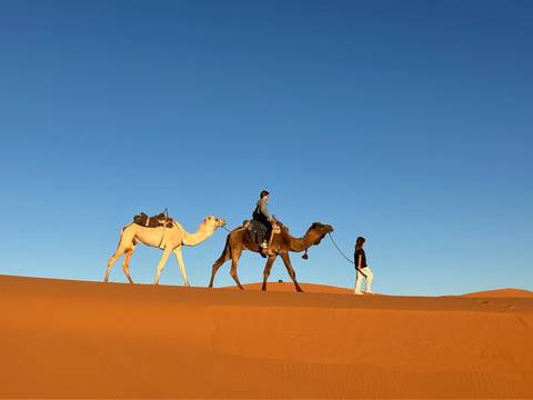Travelers riding camels along the crest of golden Sahara dunes at sunset