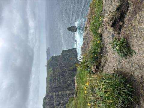 foto de reseña de cliente de Castillo de Blarney, Anillo de Kerry y acantilados de Moher