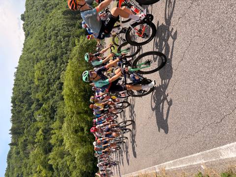 Peloton of professional cyclists racing through forested valley road
