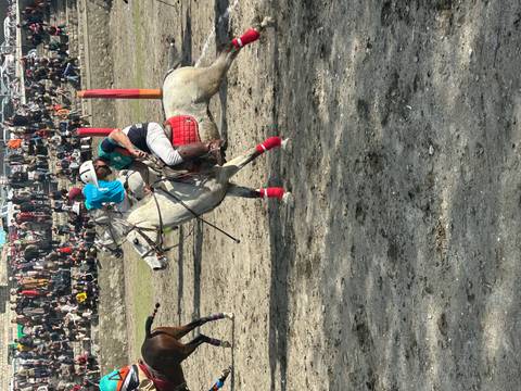 Horse and rider in mid-action during an outdoor polo match with spectators in the background.