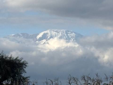 Snow-capped mountain peak emerging above a sea of clouds