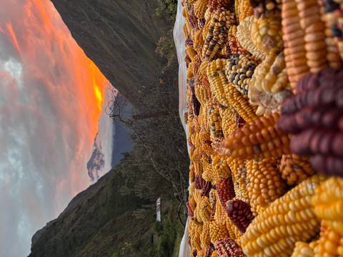 Colourful cobs of corn in the foreground with a fiery Andean sunset over valleys