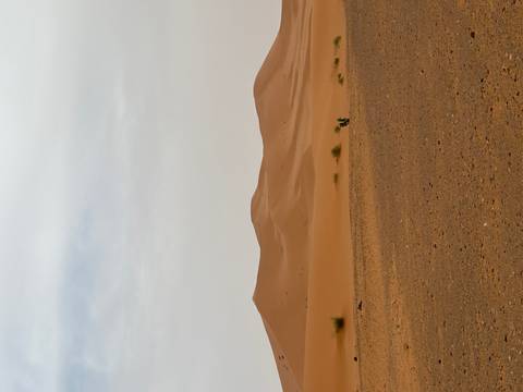 Sweeping view of orange sand dunes under hazy sky in the Sahara