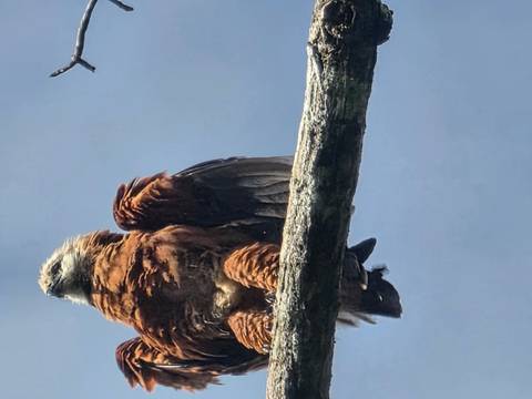 foto de reseña de cliente de Aventura en la selva amazónica de Iquitos 5D/4N