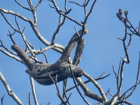 foto de reseña de cliente de Aventura en la selva amazónica de Iquitos 5D/4N