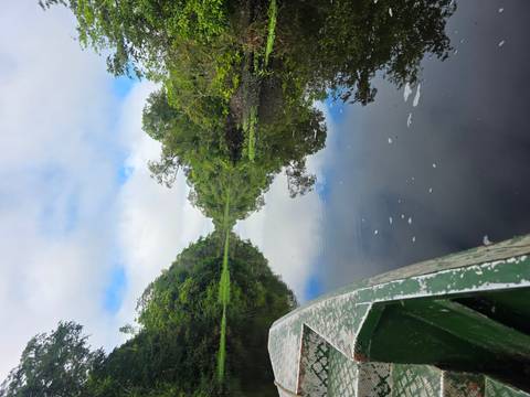 foto de reseña de cliente de Aventura en la selva amazónica de Iquitos 5D/4N