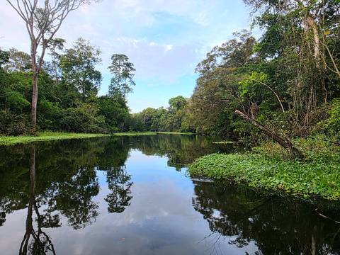 foto de reseña de cliente de Aventura en la selva amazónica de Iquitos 5D/4N