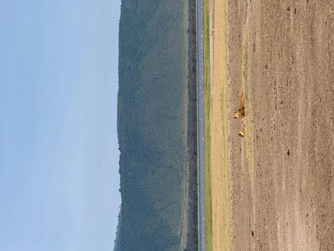 Distant lions resting on sun-baked savannah with lake and green escarpment backdrop.