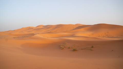 Golden sand dunes of the Sahara gently rolling under soft early-morning light
