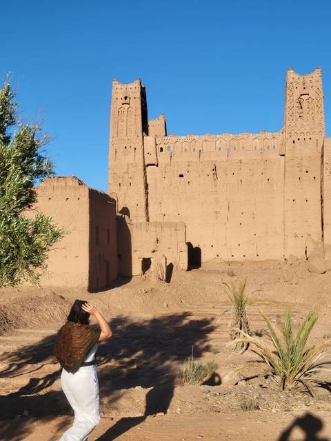 Mud-brick kasbah walls rise against a clear blue sky with an olive tree in the foreground