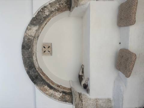 A cat naps inside a whitewashed arched alcove of Cycladic architecture with cushions below.