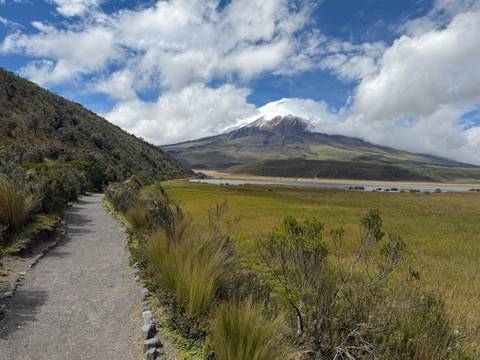 A snow-capped Cotopaxi Volcano towers above high-altitude grasslands and a winding trail under patchy clouds.