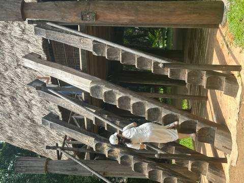 Visitors climb steep notched wooden ladders to a traditional stilt house with a thatched roof.
