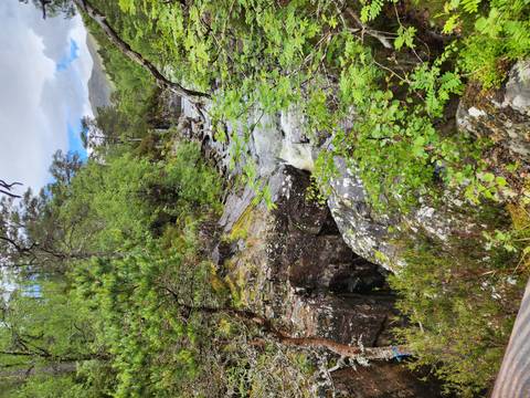 Mountain stream cascading through rocky forest terrain in the Highlands.