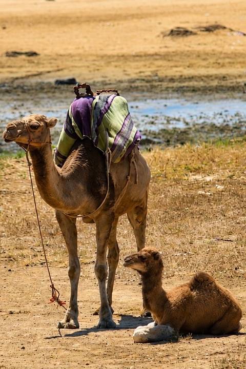 Photo d'avis client sur Boucle Porto-Marrakech - 18 jours