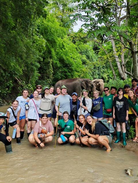Large group of volunteers pose with two elephants amid lush tropical forest.