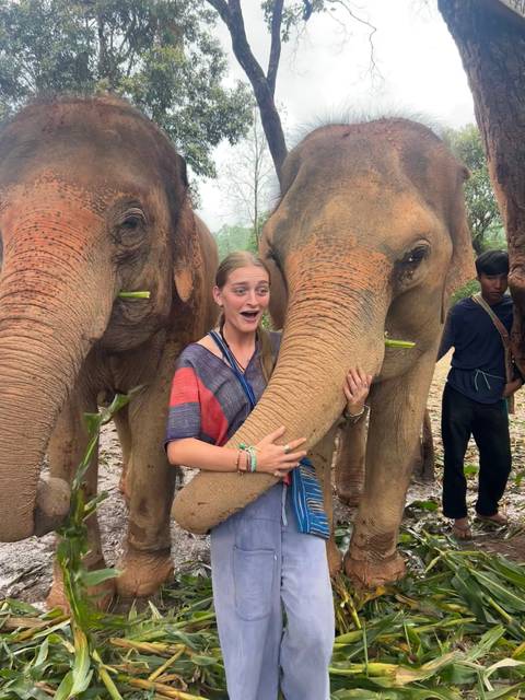 Visitor excitedly hugs the trunk of an elephant standing between two gentle giants.