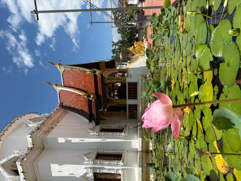 Pink lotus flower in focus with ornate Thai temple roof and blue sky in the background.
