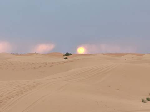 Soft orange sun setting over rolling Sahara sand dunes with faint tracks.