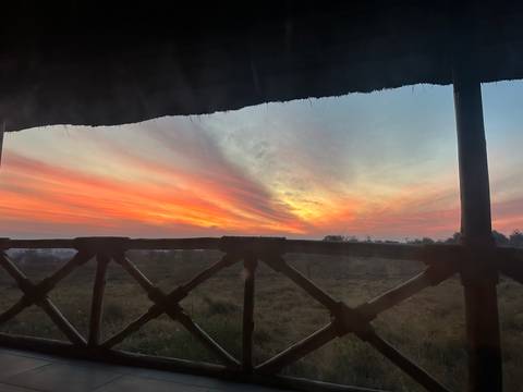 Colorful dawn sky seen from inside a safari tent overlooking grassy plains.
