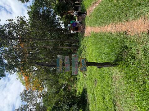 A hand-painted wooden sign reading 'Welcome to organic farm' stands beside a dirt path leading into trees.