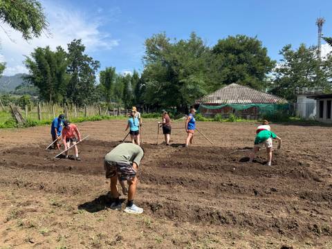 Volunteers till rows of soil in a sunny field preparing for planting.