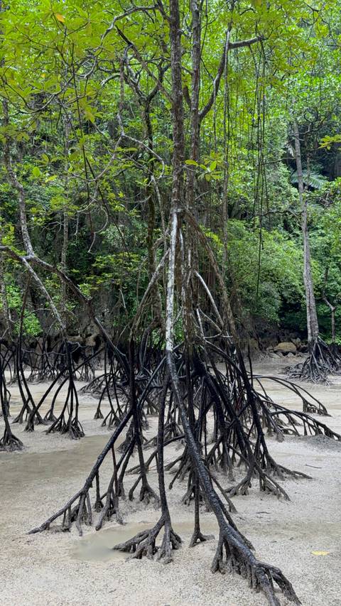 Photo d'avis client sur Faire le tour des îles de Thaïlande en 9 jours
