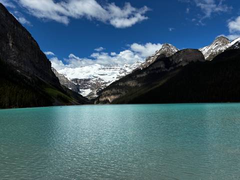 Glacial Lake Louise shimmers beneath snowy peaks and a clear blue sky.