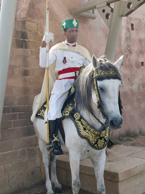 Royal guard in ceremonial dress sits mounted on an ornate white horse against a stone wall in Rabat.